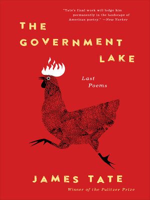 The Government Lake - ebook